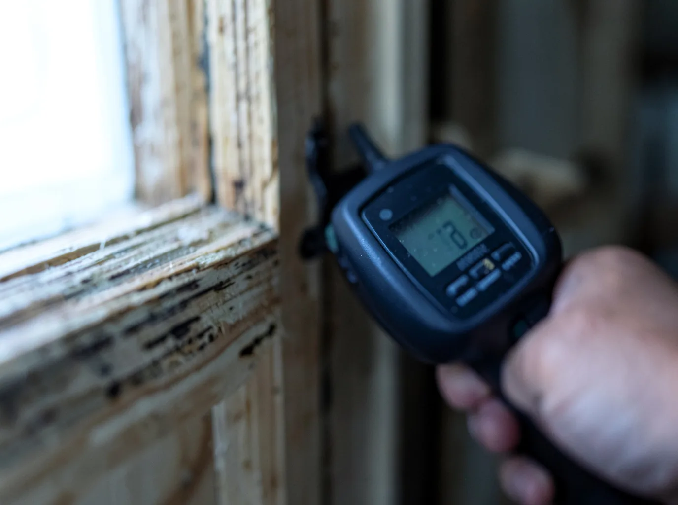 Moisture Inspection And Documentation in Wharton, TX
